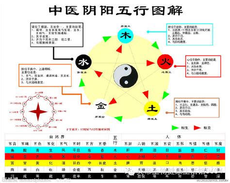 五行相生相剋關係|五行相生相剋:五行,四季五行,相生相剋,概念對應,五行。